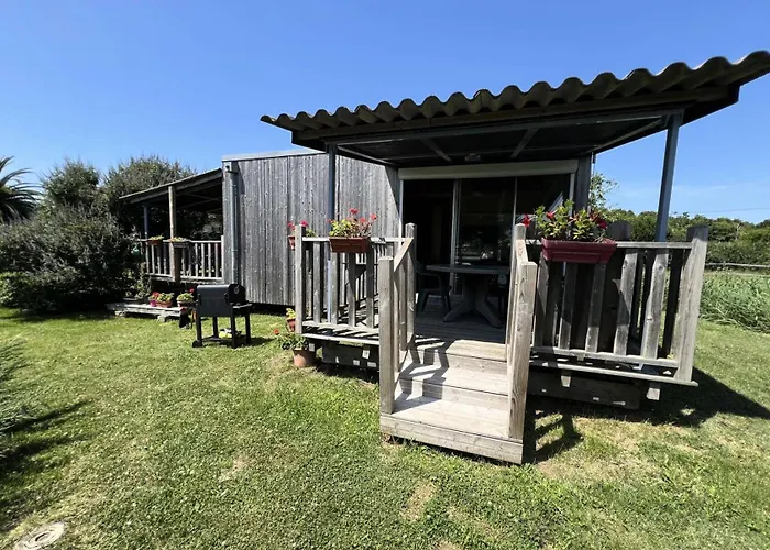 076-le Verdon Sur - 076 - Nature Au Coeur Du Verdon-sur-mer - Vue Sur Les Marais Mae-9681 شاليه