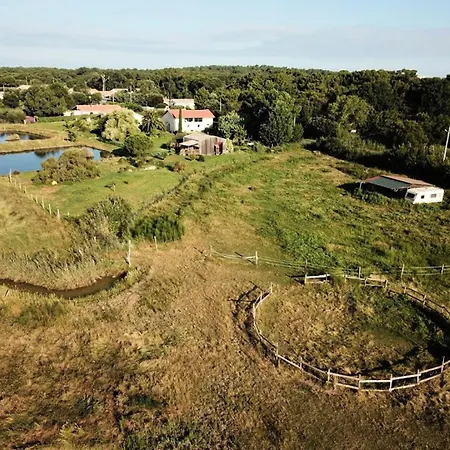076-le Verdon Sur - 076 - Depaysagement Total Pour Ce En Pleine Nature Mae-9681 Le Verdon-sur-Mer